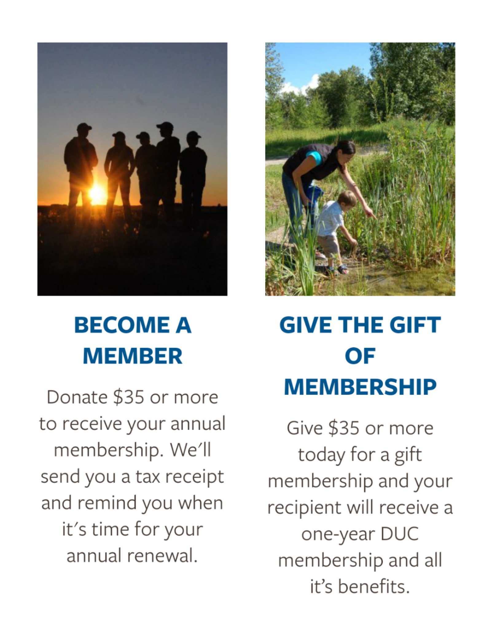 Ducks Unlimited Canada website membership purchasing page that offers the option of becoming a member or purchasing a gift membership. 
