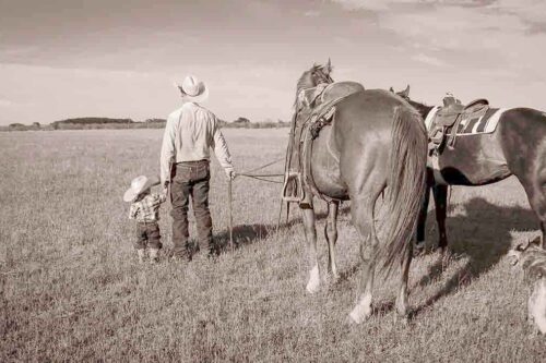 Oklahoma Cattlemen’s Association – MC Professional AMS