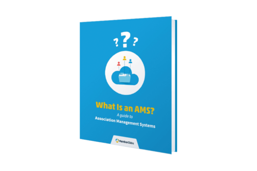 What Is an AMS?